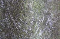 Causey Park Bridge fibreglass roof work